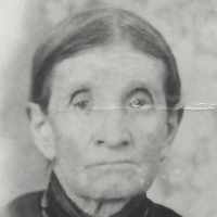 Elmira Ann Braffett (1829 - 1903) Profile